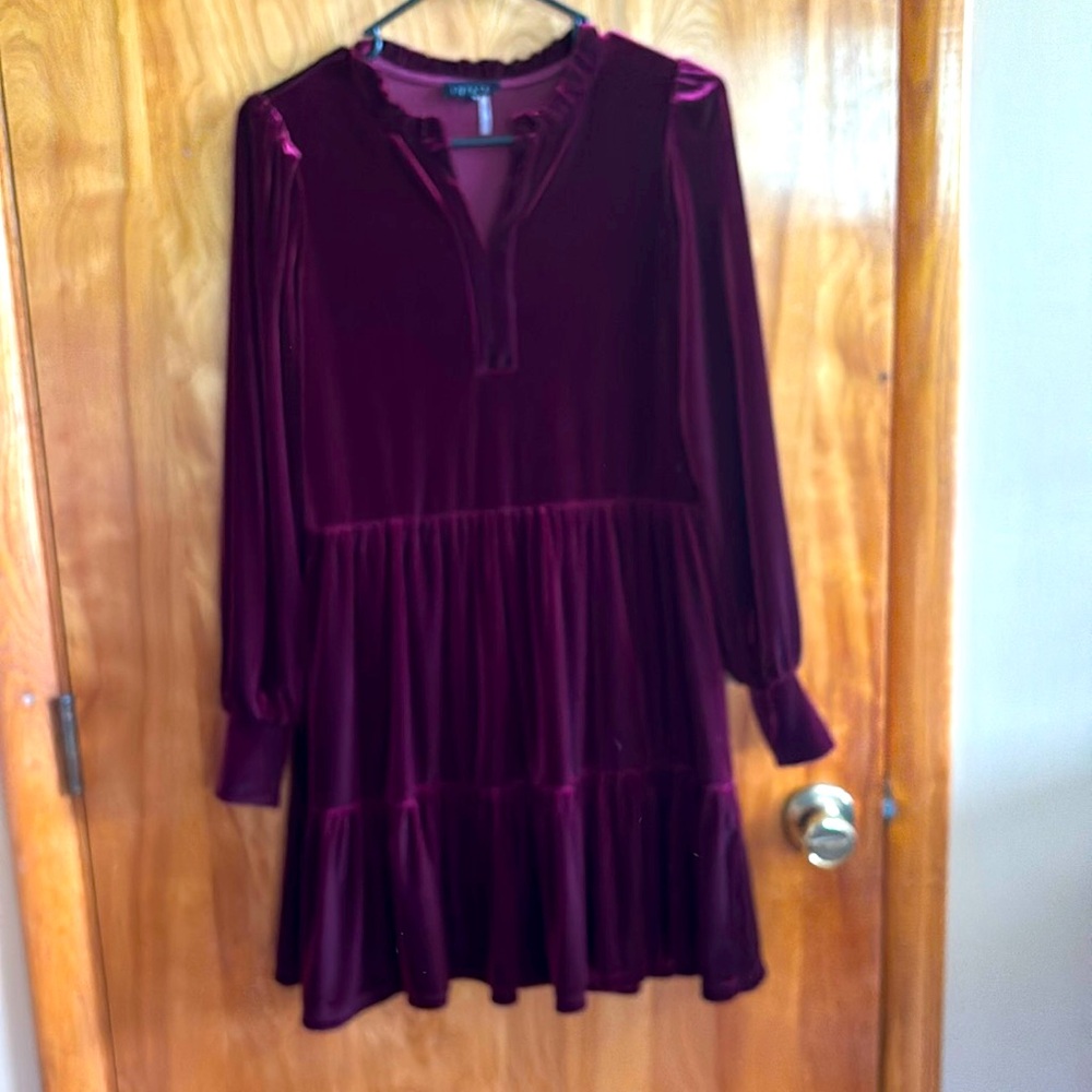 1. State Juniors velour dress size XS wine